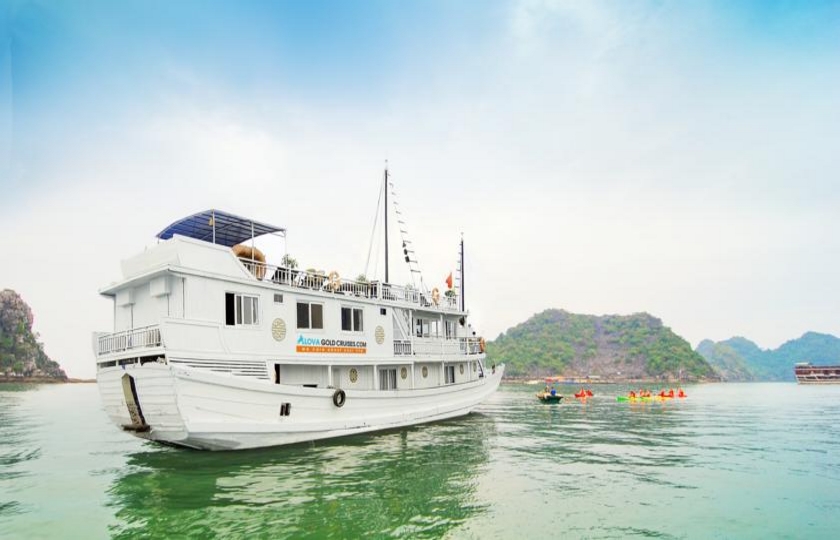 ALOVA GOLD CRUISE