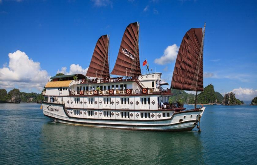PALOMA CRUISE