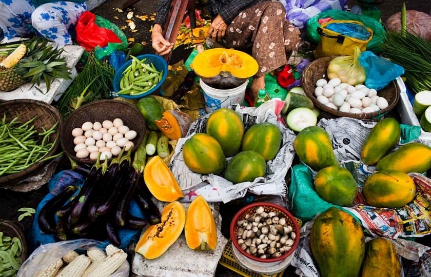 Gourmet Vietnam